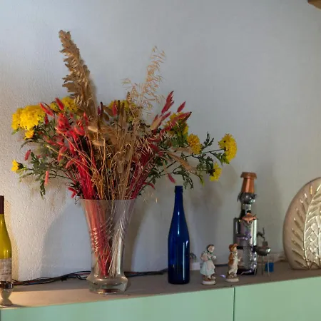 1 Bedroom And Mezzanine For 6 * Agde
